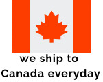 UPS outbound from New York to Canada everyday
